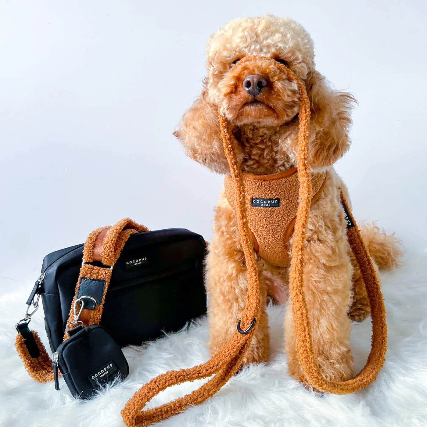 CocoPup Black Dog Walking Bag Set