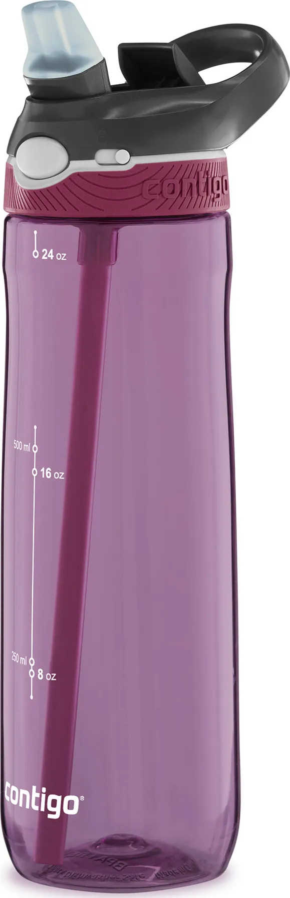 Contigo Ashland Water Bottle Passionfruit | Buy Contigo Ashland Water Bottle Passionfruit here | Outnorth