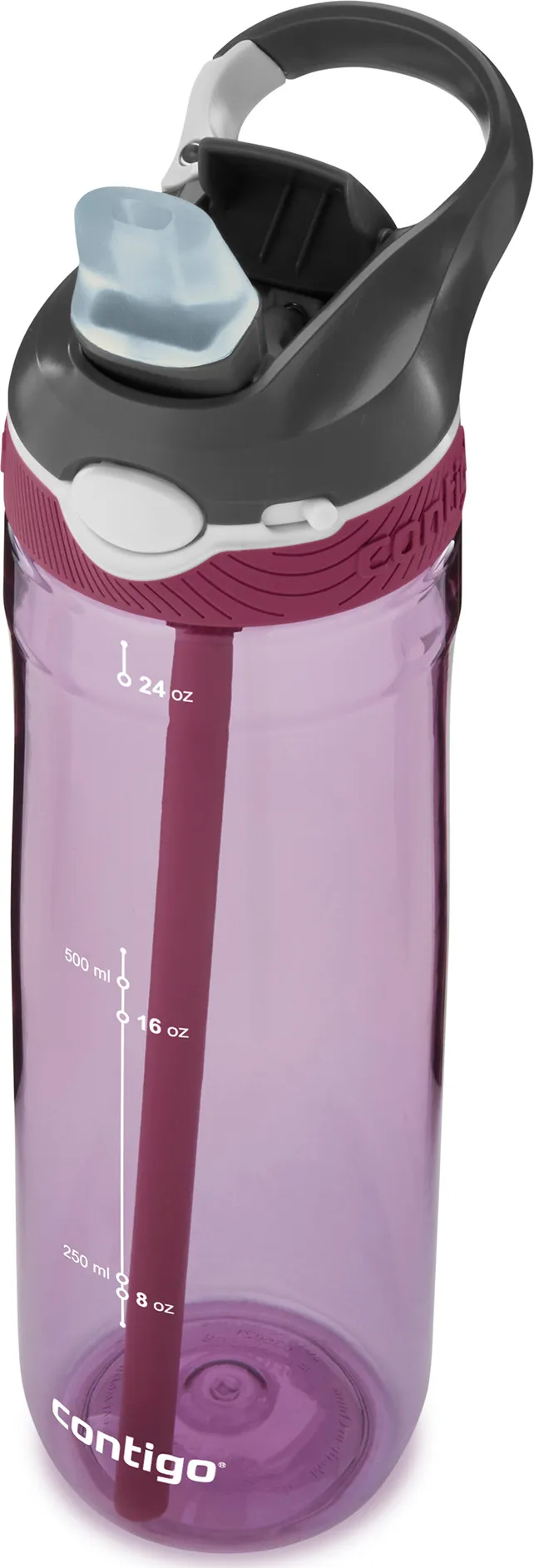 Contigo Ashland Water Bottle Passionfruit | Buy Contigo Ashland Water Bottle Passionfruit here | Outnorth