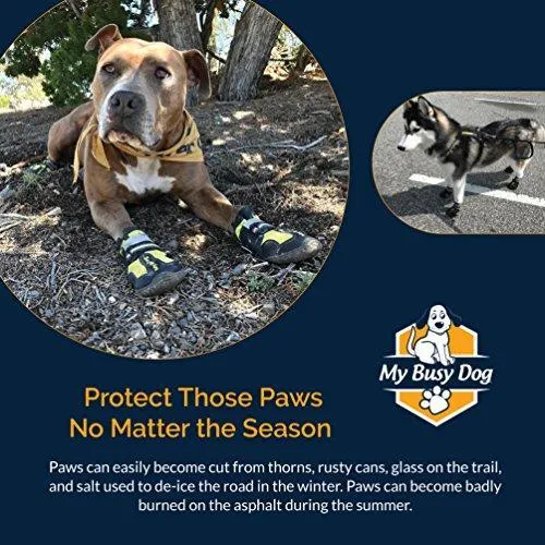My Busy Dog Water Resistant Dog Shoes