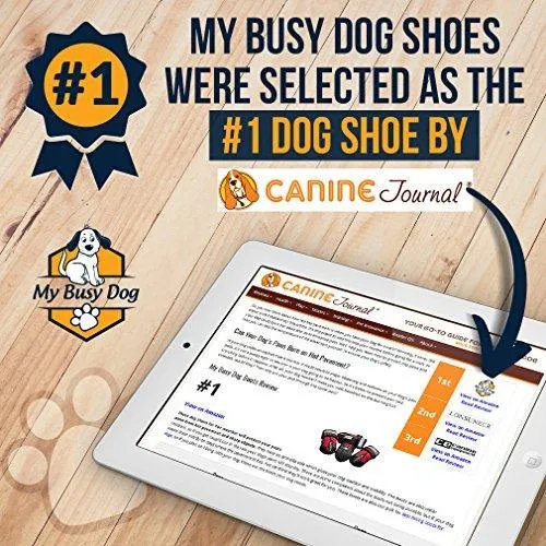 My Busy Dog Water Resistant Dog Shoes