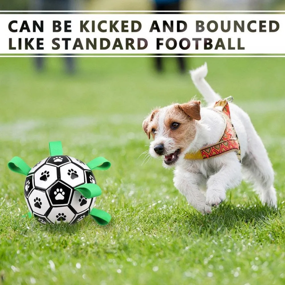 Ruff 'n' Ready Rumble Ball